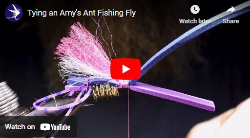 Tying an Amy's Ant Fishing Fly